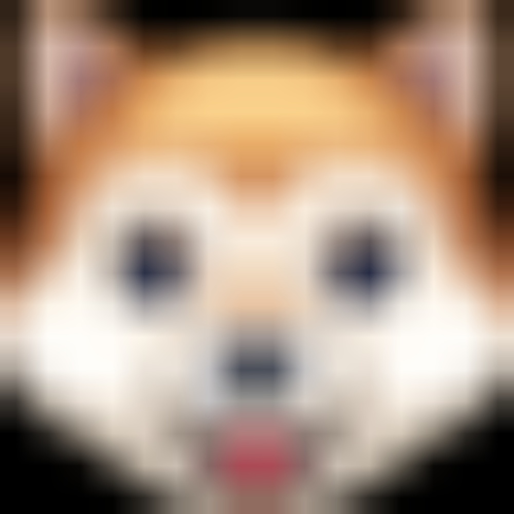 Meet your Posher, Evan